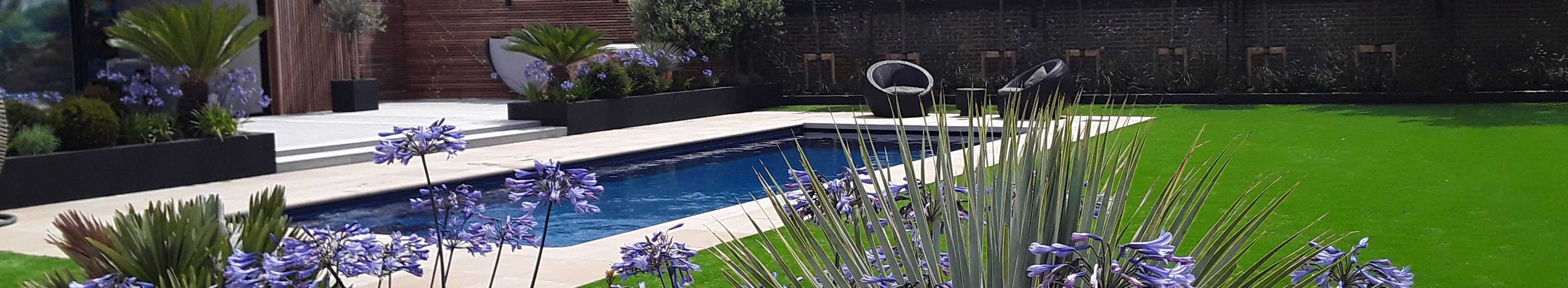 Xl Trainer - Nova Blue