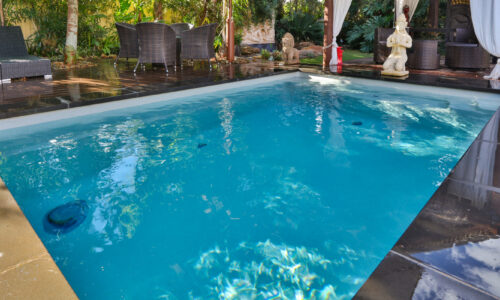 Compact plunge pool in a stylish courtyard setting with seating area and lush tropical landscaping.