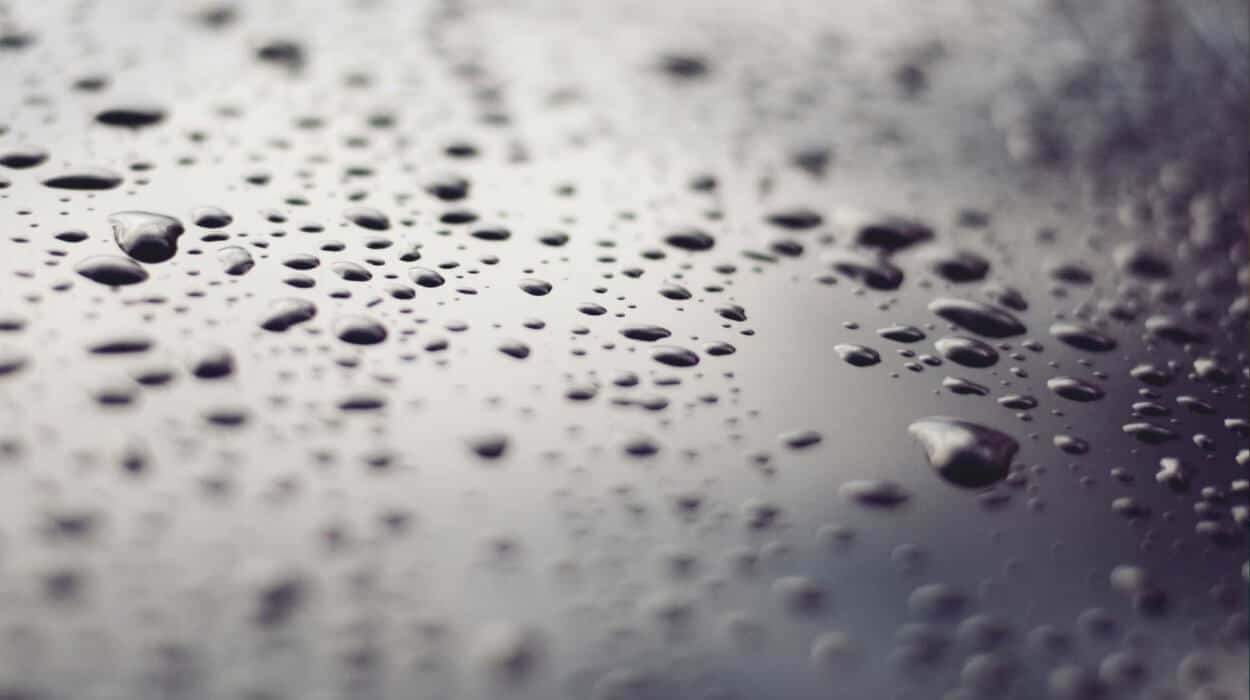 Compass Pools Condensation