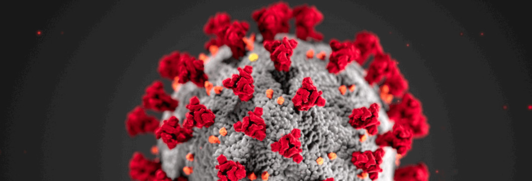 corona-virus-2560x874-1-1