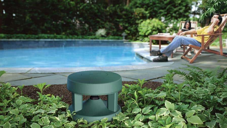 Outdoor poolside scene featuring the bose freespace garden speaker surrounded by plants, with two people relaxing on sun loungers near the pool.