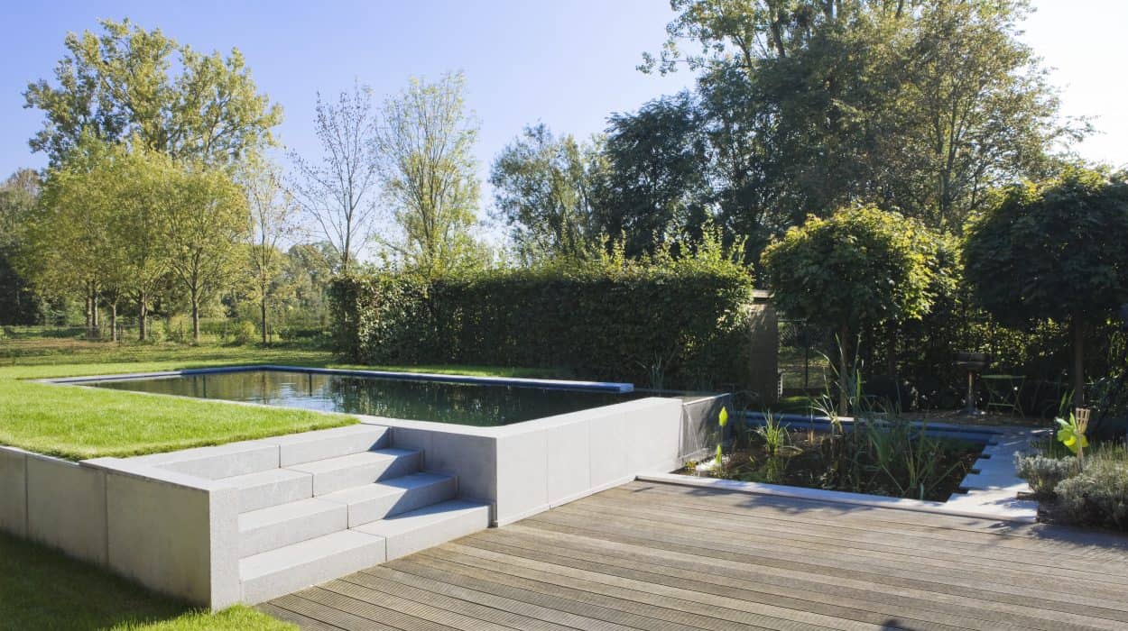 Stunning Natural Pool