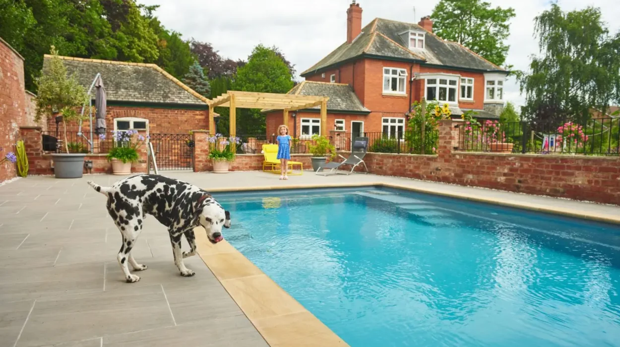 Family garden outdoor swimming pool beside a red-brick home with a child and Dalmatian playing nearby.